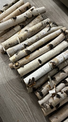 Silver birch logs 25cm - 25cm, x