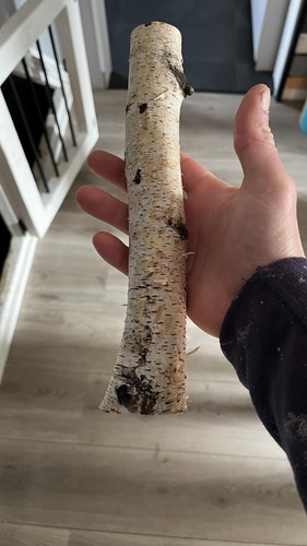 Silver birch logs - birch, each