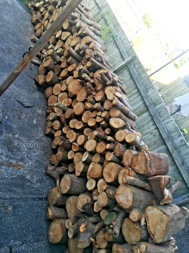 Soft wood tree - soft,