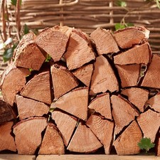 Softwood Logs Kiln Dried