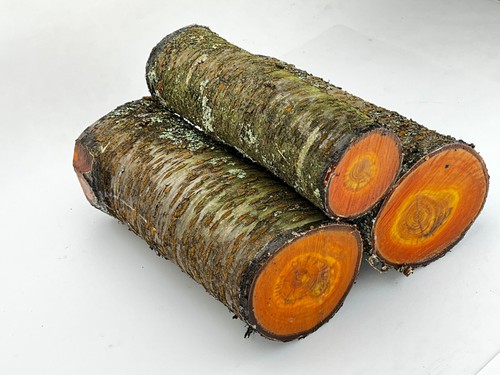 Wild cherry wood - blank, for